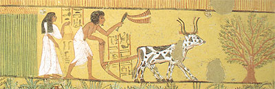 Agricultural scene, tomb of Sennedjem at Luxor.