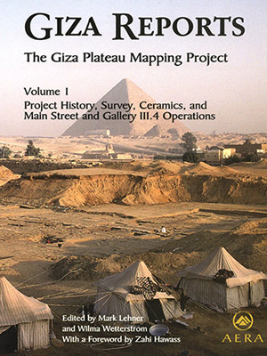 Giza Reports