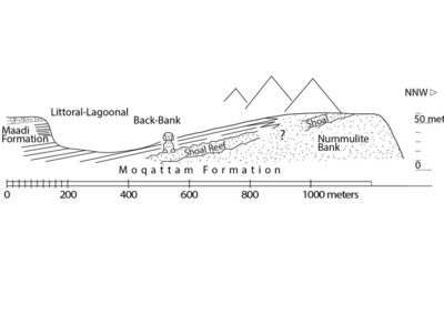 Schematic profile of the principal geological layers of the Moqattam