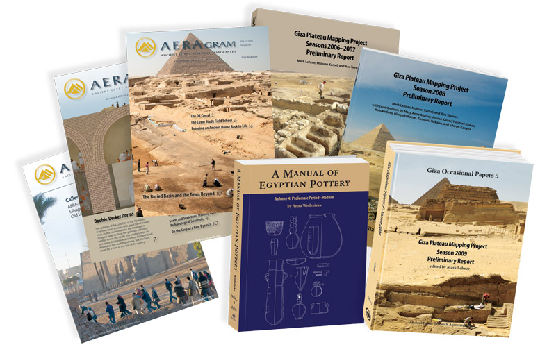 AERA publications